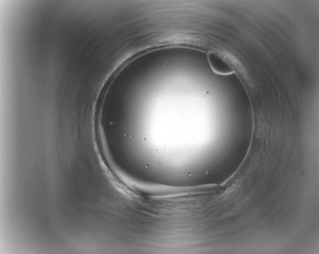 X0000069361039200605150911