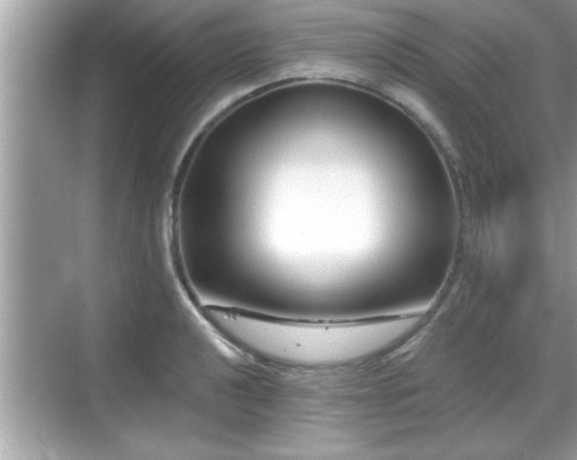 X0000069361040200605150911