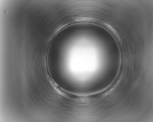 X0000069361041200605150911