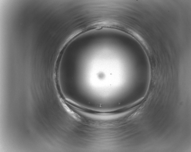 X0000069361042200605150911