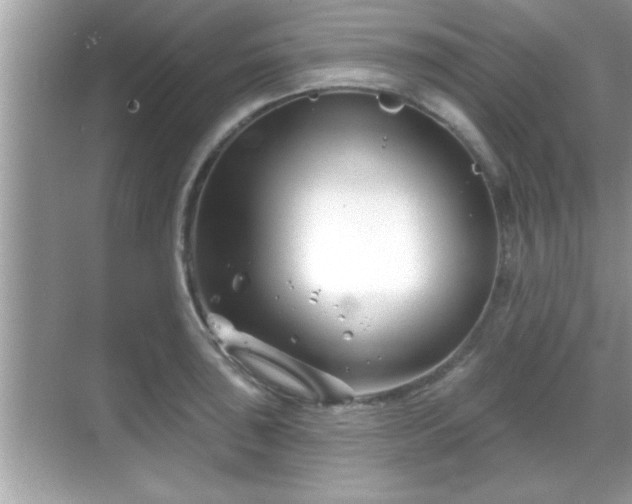 X0000069361043200605150911