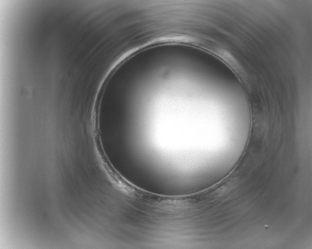 X0000069361044200605150911