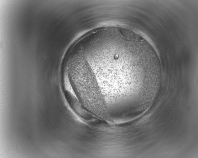 X0000069361045200605150911