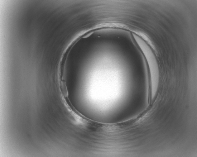 X0000069361046200605150911