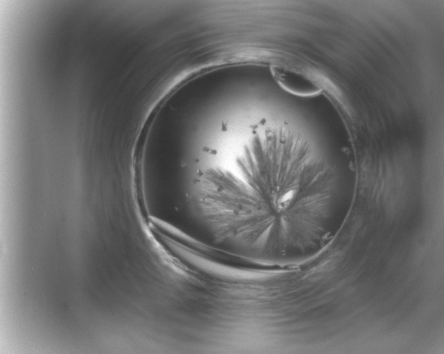 X0000069361047200605150911