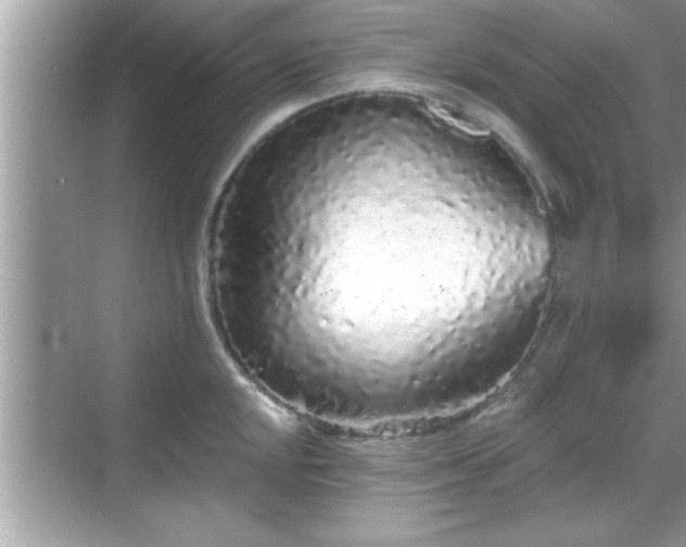 X0000069361048200605150911