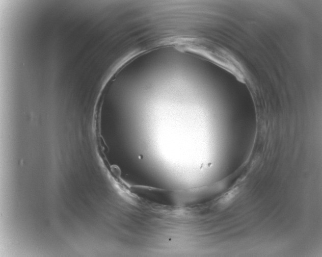 X0000069361050200605150911