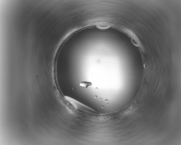 X0000069361051200605150911