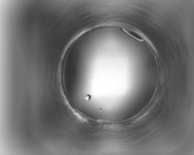 X0000069361053200605150911