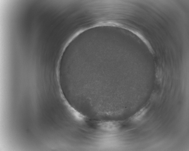 X0000069361054200605150911