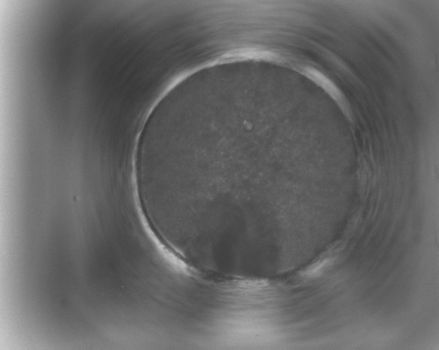 X0000069361055200605150911