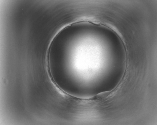 X0000069361056200605150911