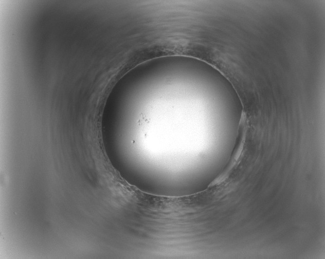 X0000069361057200605150911