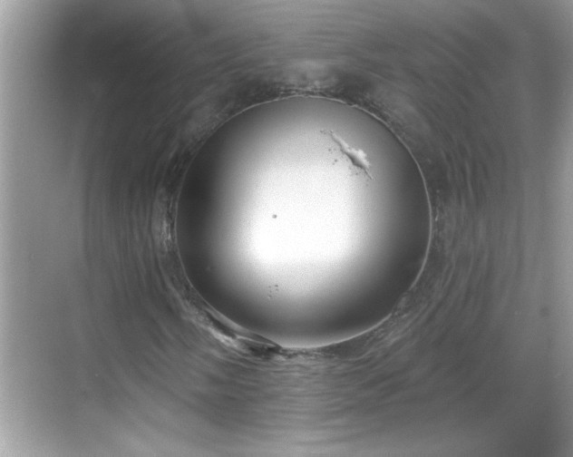 X0000069361058200605150911