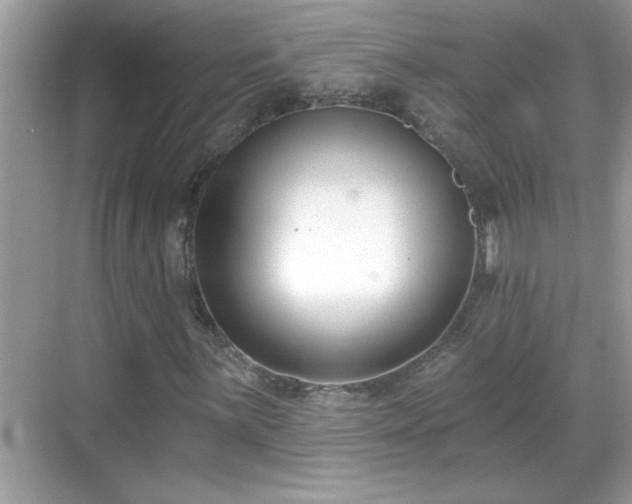 X0000069361059200605150911