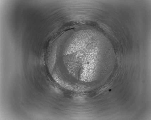 X0000069361060200605150911