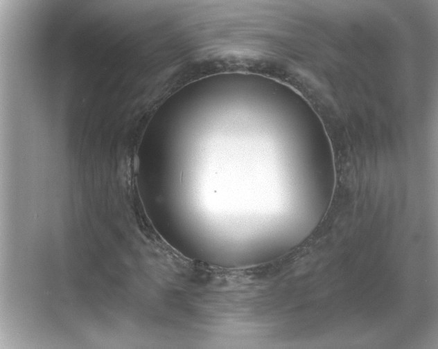 X0000069361061200605150911