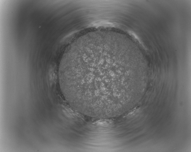 X0000069361063200605150910