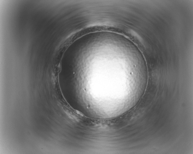 X0000069361064200605150910