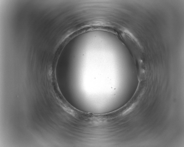 X0000069361065200605150910