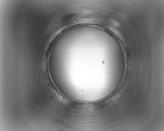 X0000069361067200605150910