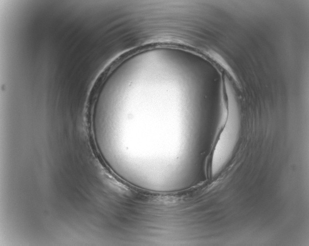 X0000069361068200605150910