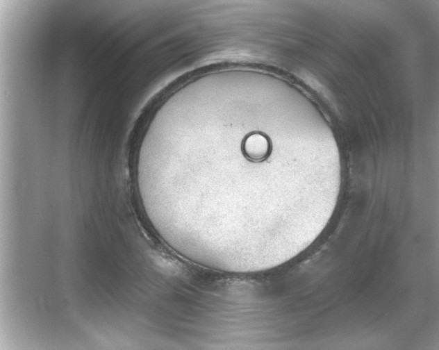 X0000069361070200605150910