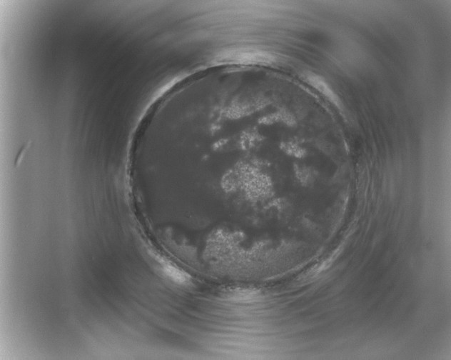 X0000069361071200605150910