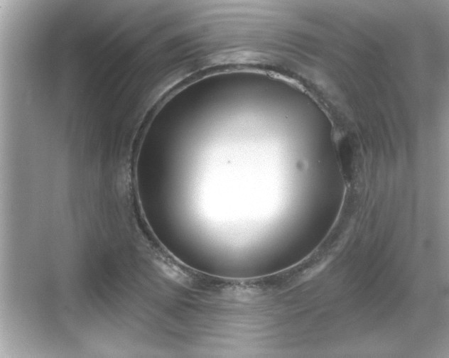 X0000069361073200605150910