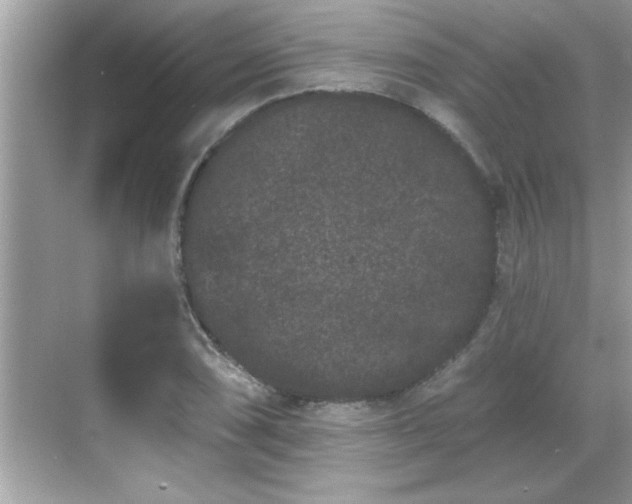 X0000069361074200605150910