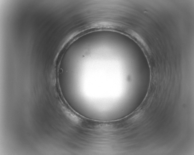 X0000069361075200605150910