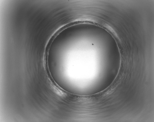 X0000069361076200605150910