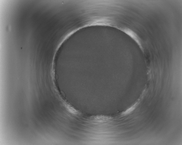 X0000069361077200605150910