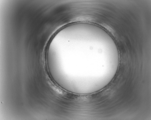 X0000069361078200605150910