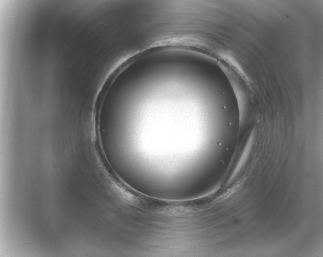 X0000069361079200605150910