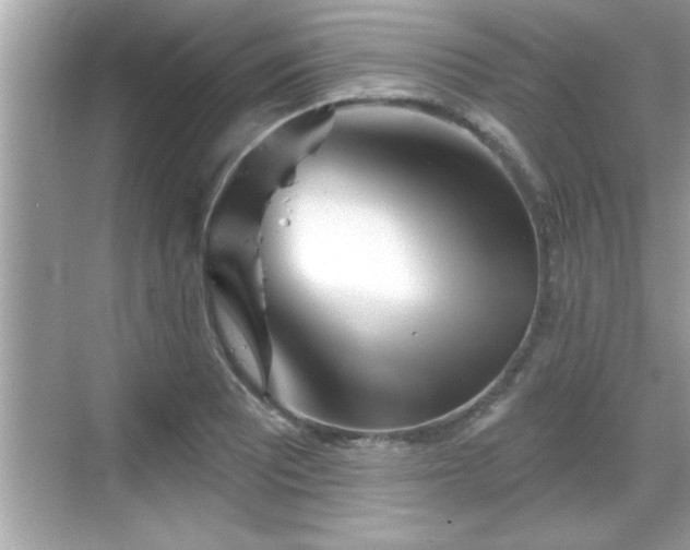 X0000069361081200605150910