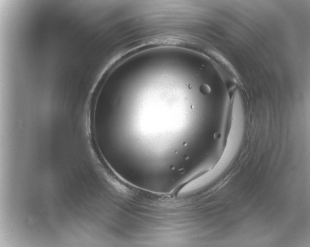 X0000069361083200605150910