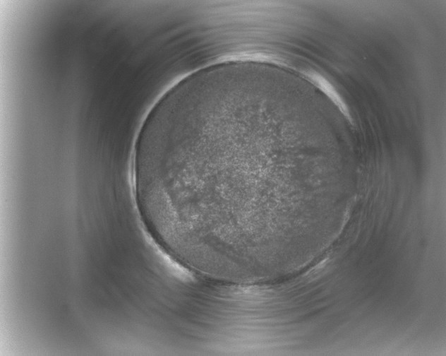 X0000069361084200605150910