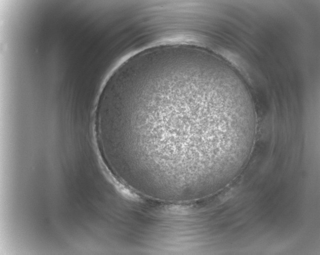 X0000069361086200605150910