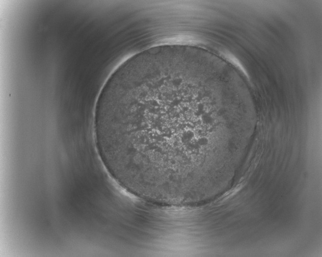 X0000069361087200605150910