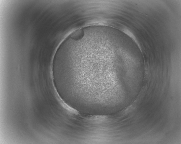 X0000069361090200605150910