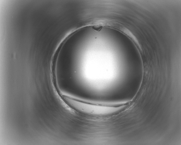 X0000069361091200605150910