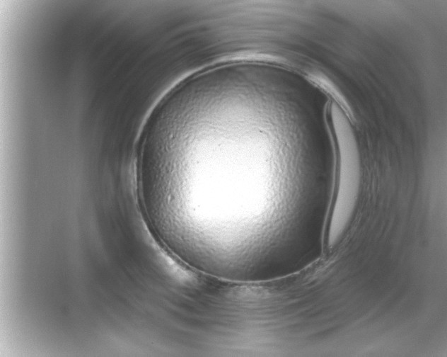 X0000069361092200605150910