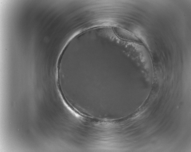 X0000069361095200605150910