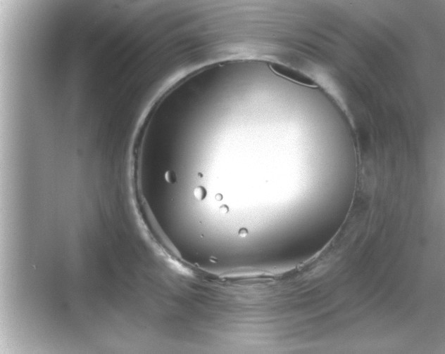 X0000069361096200605150910