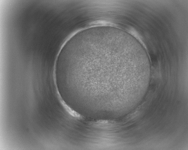 X0000069361098200605150910