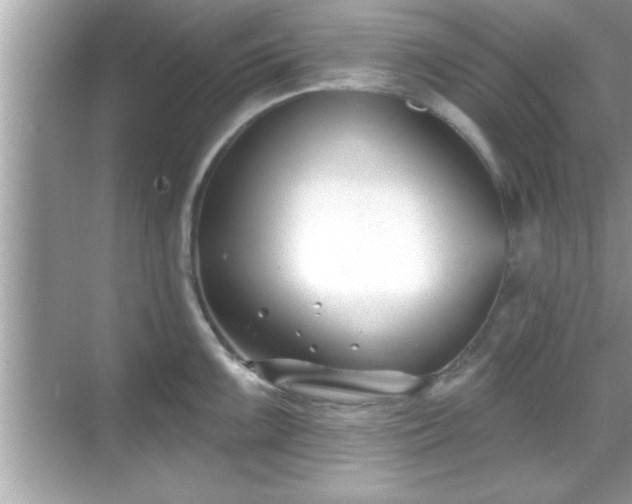 X0000069361099200605150910