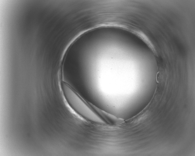 X0000069361100200605150910