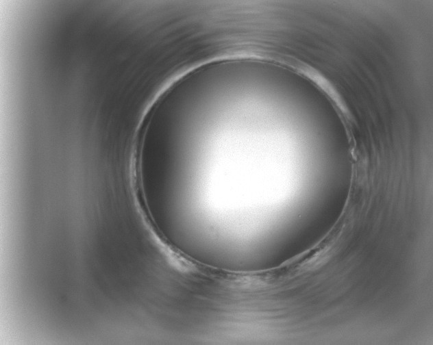 X0000069361101200605150910