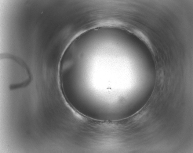 X0000069361103200605150910